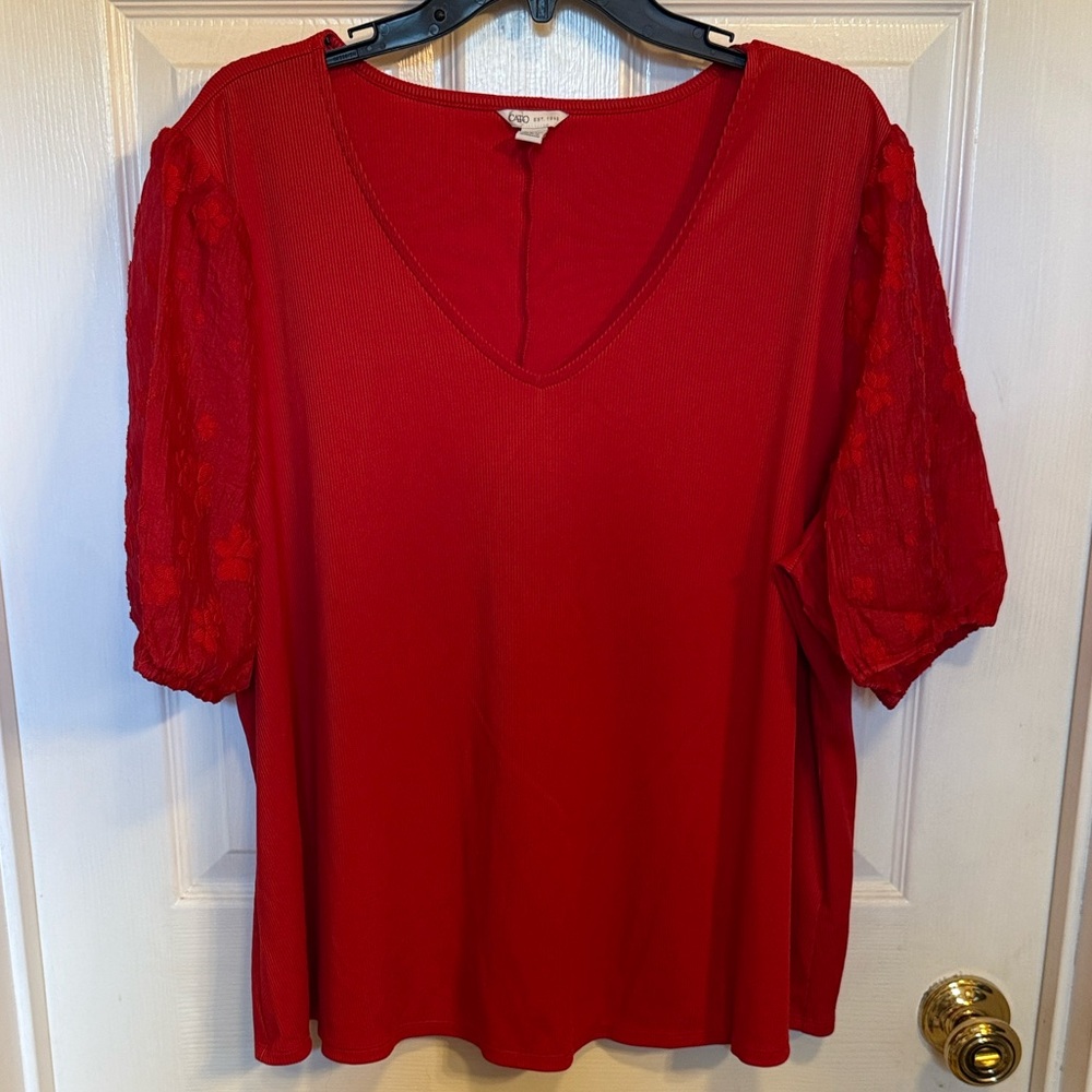 CATO Elegant Red Lace Sleeve Top 22-24